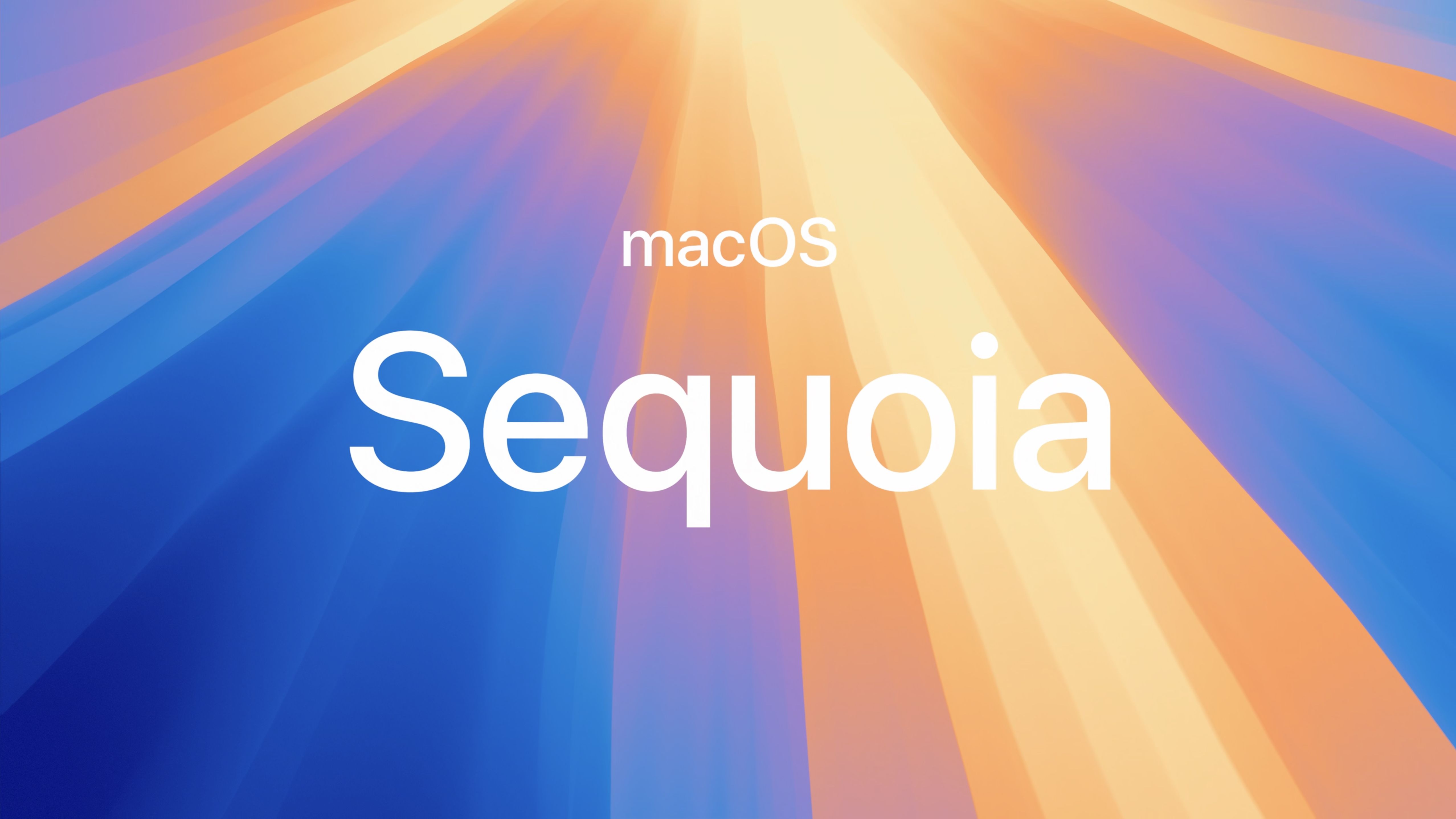 即購入◯MacBook Air 2015 Sequoia 15.0インストール済 即購入◯MacBook Air 2015 Sequoia 15.0インストール済