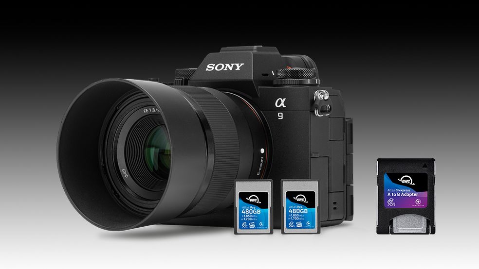 OWC launches super-fast, next-gen CFexpress Type A cards | Digital