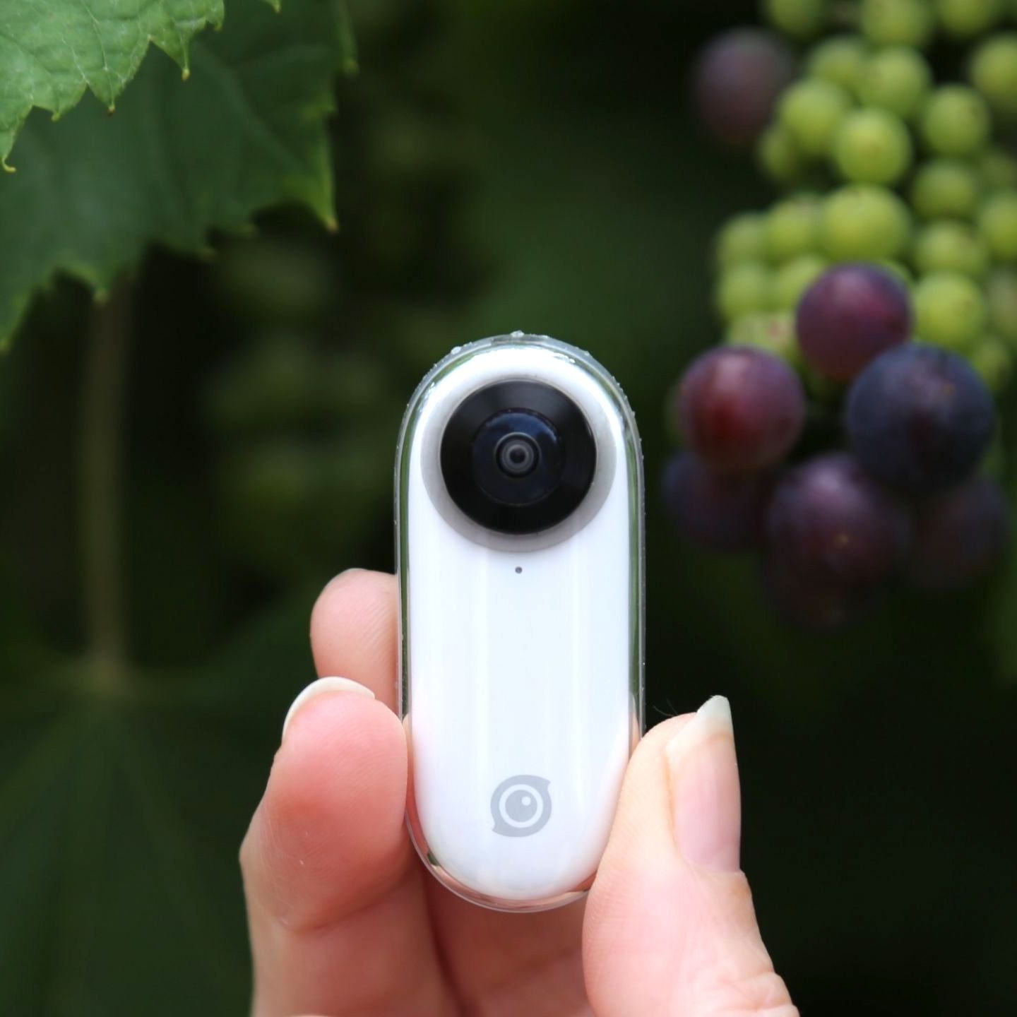 Insta360 GO review | Digital Camera World