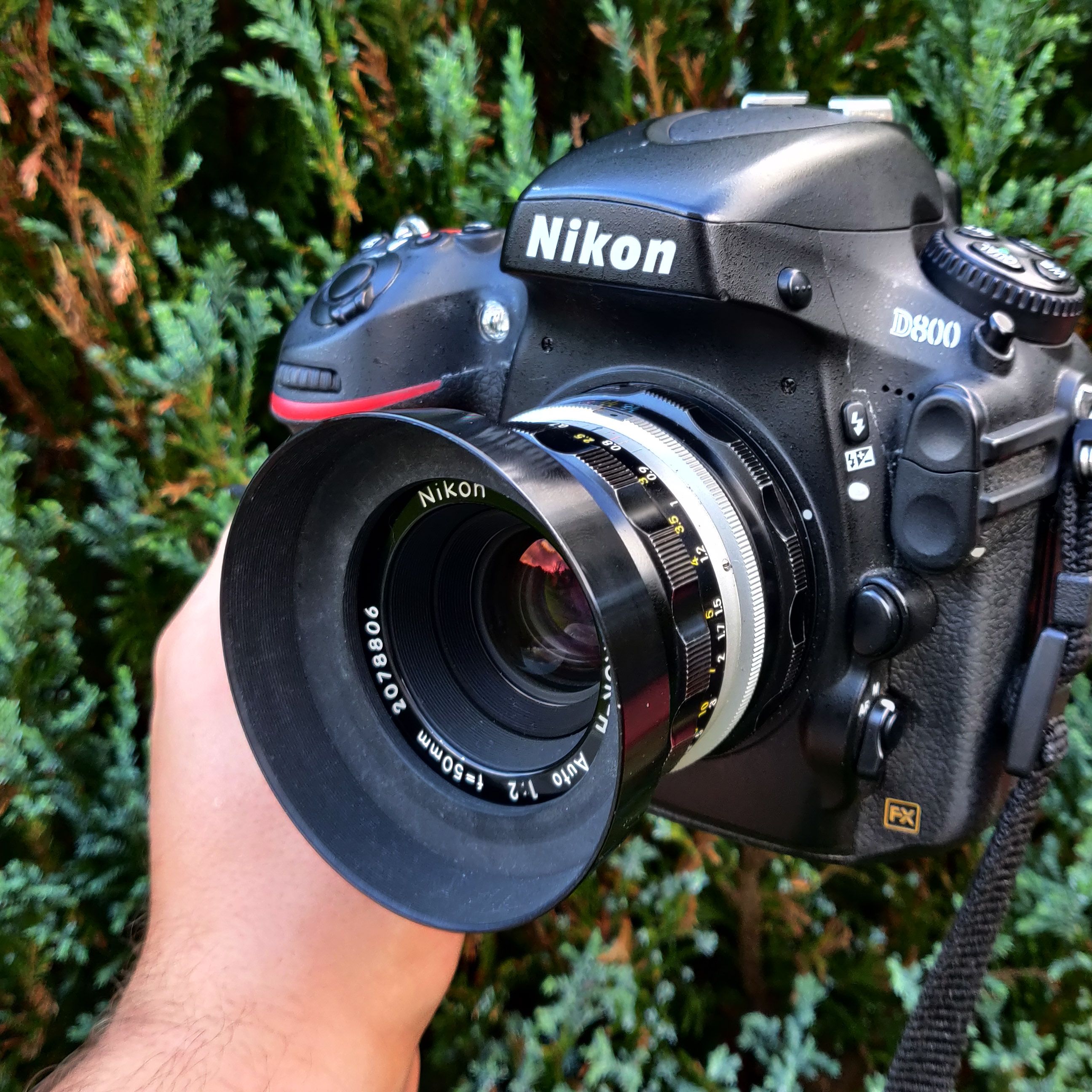 ライカ Diii Nikkor Nikon NIKKOR Z 70-180mm f/2.8 | Mirrorless Lenses | Nikon USA