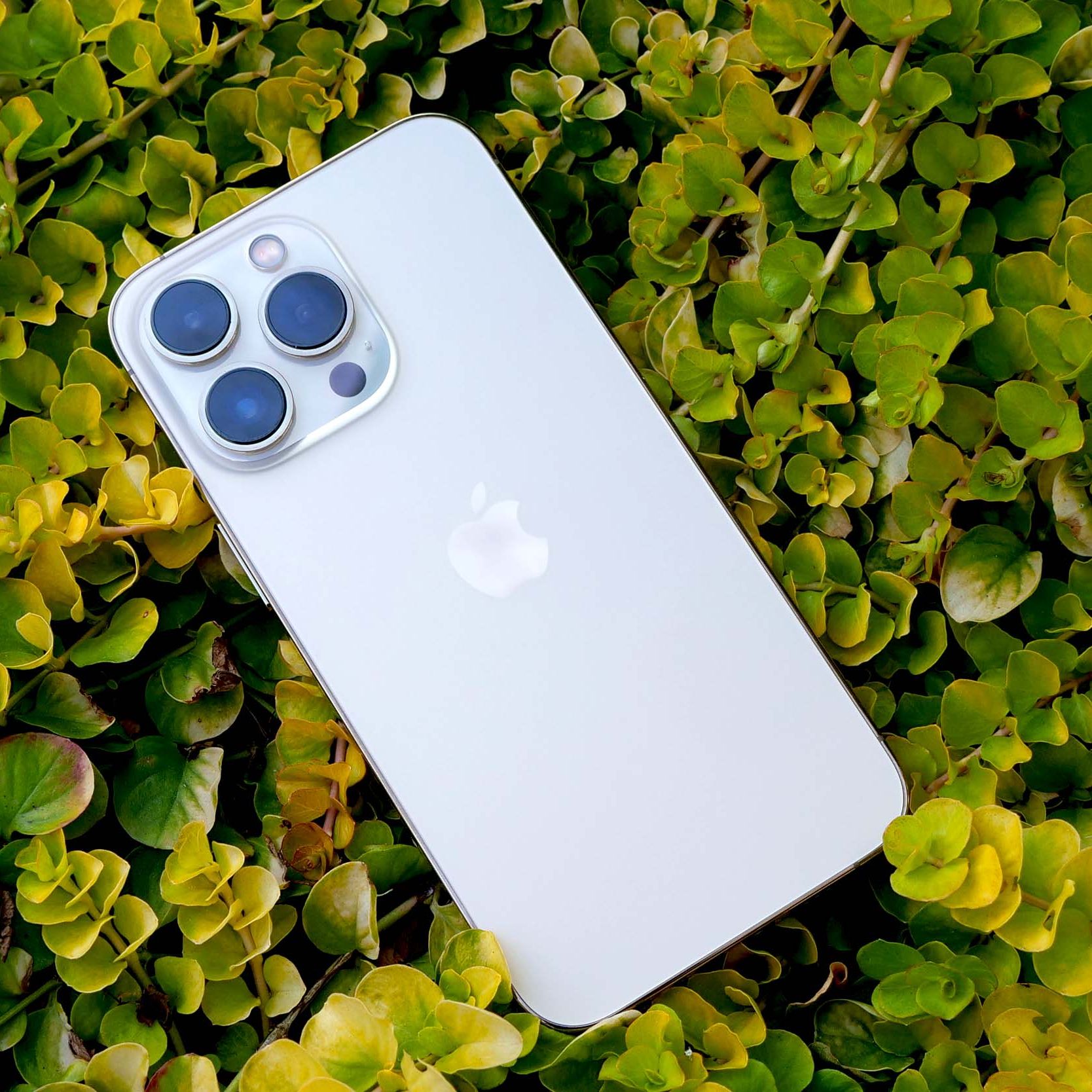 iPhone 13pro アイフォン13プロ Apple iPhone 13 Pro - DXOMARK