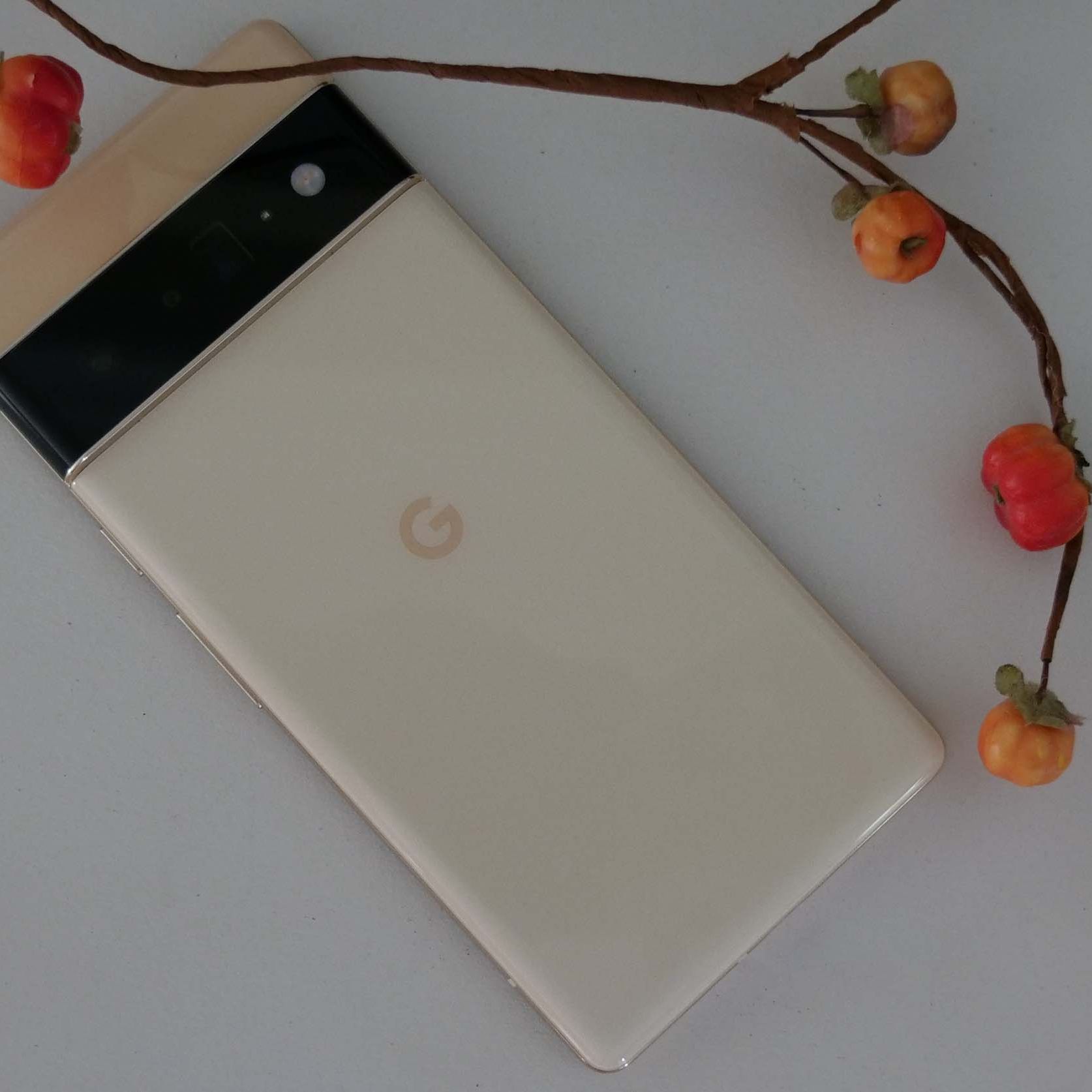 Pixel 6 Pro review: Google's true flagship phone | Laptop Mag
