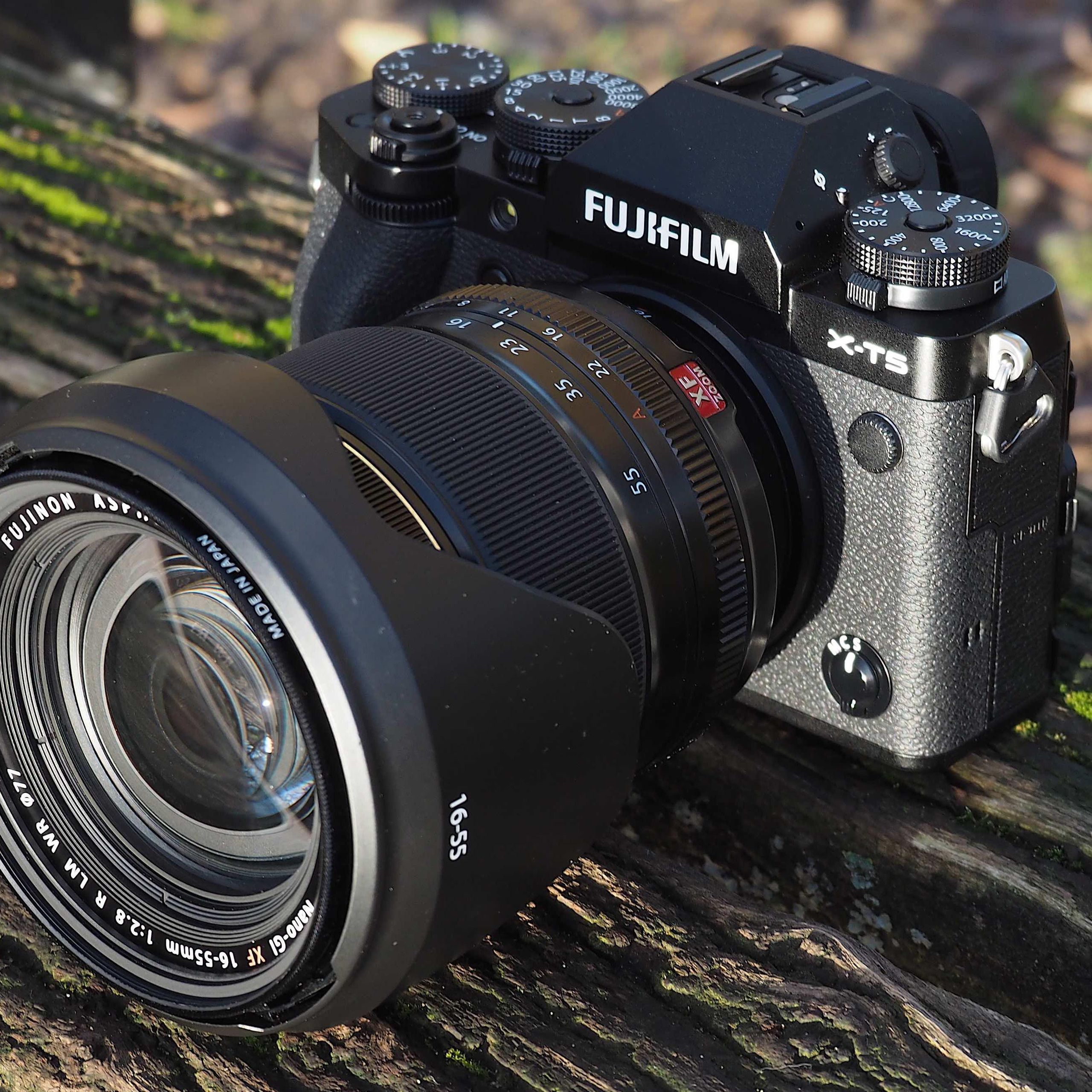 Fujifilm X-T5 review: a retro-styled wonder | T3