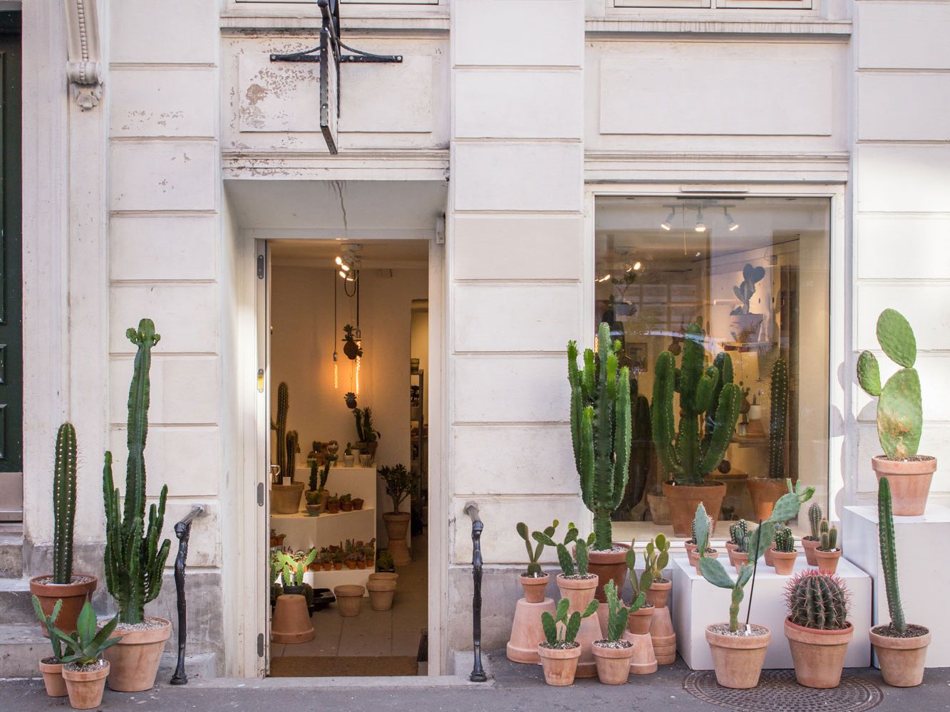 Kaktus Kbenhavn opens succulent new concept store | Wallpaper*