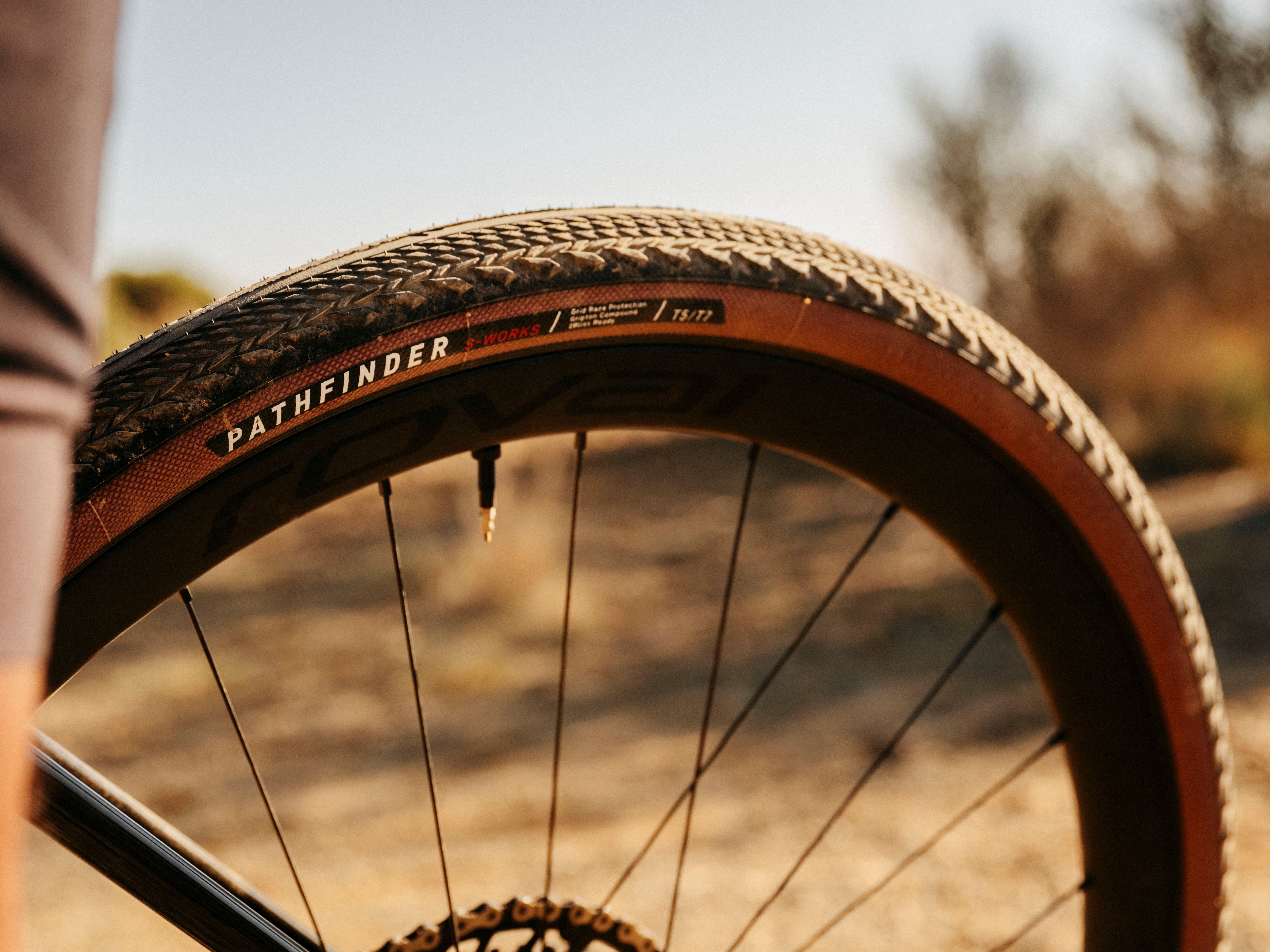 Specialized Pathfinder Pro 2BR (No Packaging) – Steed Cycles