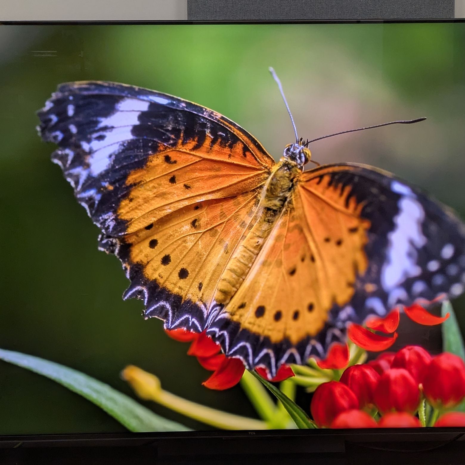 TCL C7K review: a very good mini-LED TV that's packed with