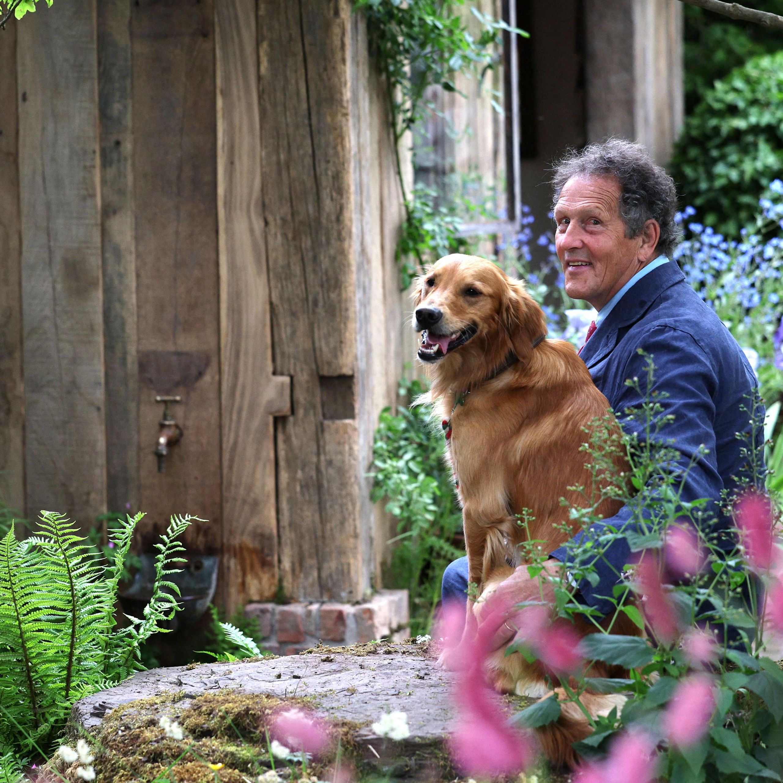 Chelsea Flower Show 2025: From the 'perfect' garden to The ...