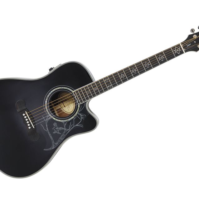 デイヴナヴァロ　シグネーチャーモデル Epiphone アコースティックギター Epiphone Dave Navarro Signature review | MusicRadar