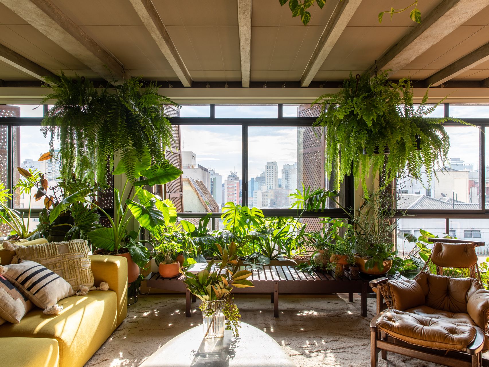 Low Maintenance Plants for Indoor Gardening  10 Varieties | Livingetc
