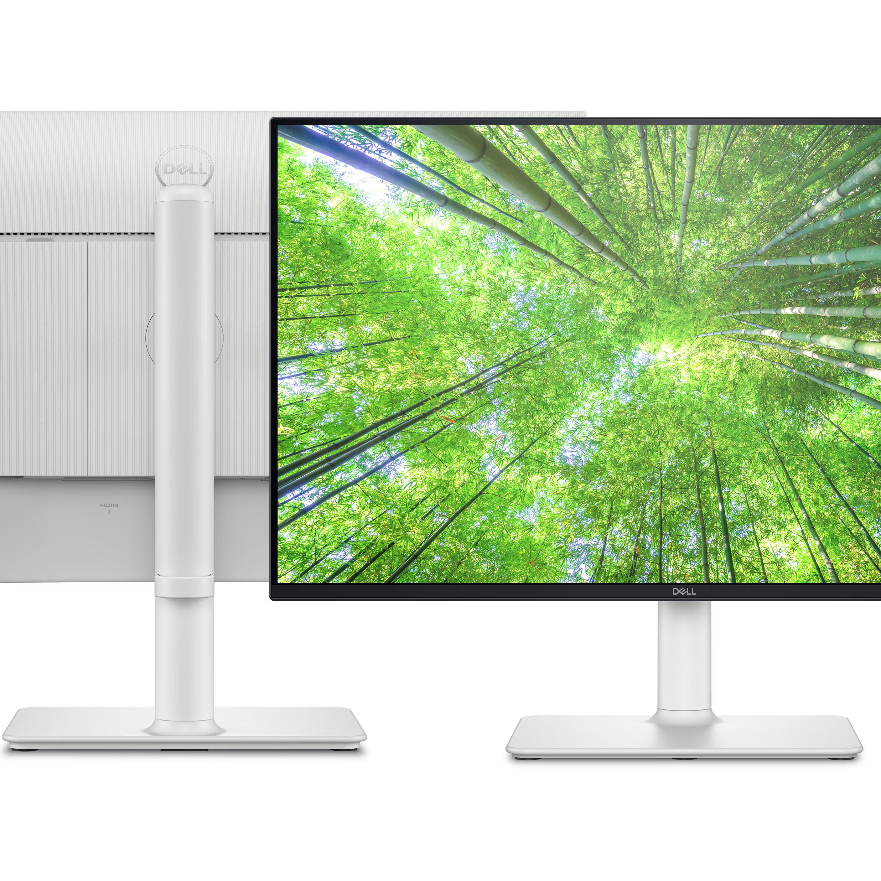 Grab a brand new 24-inch Dell monitor for less than £100