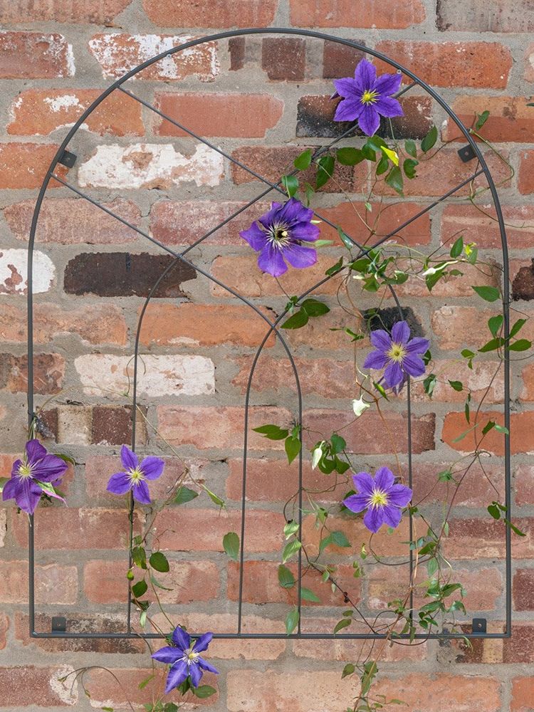 primrose, Classic Black Metal Trellis