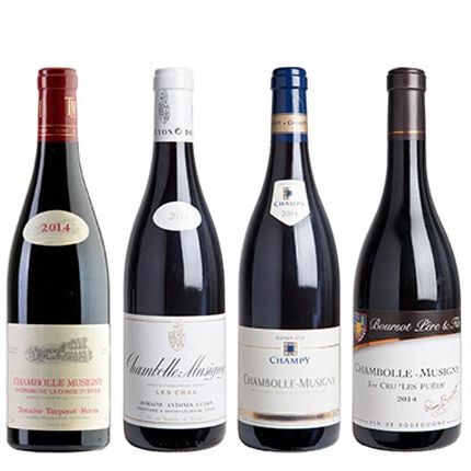 Chambolle-Musigny 1er Cru 2014 フーリエ 【公式通販】