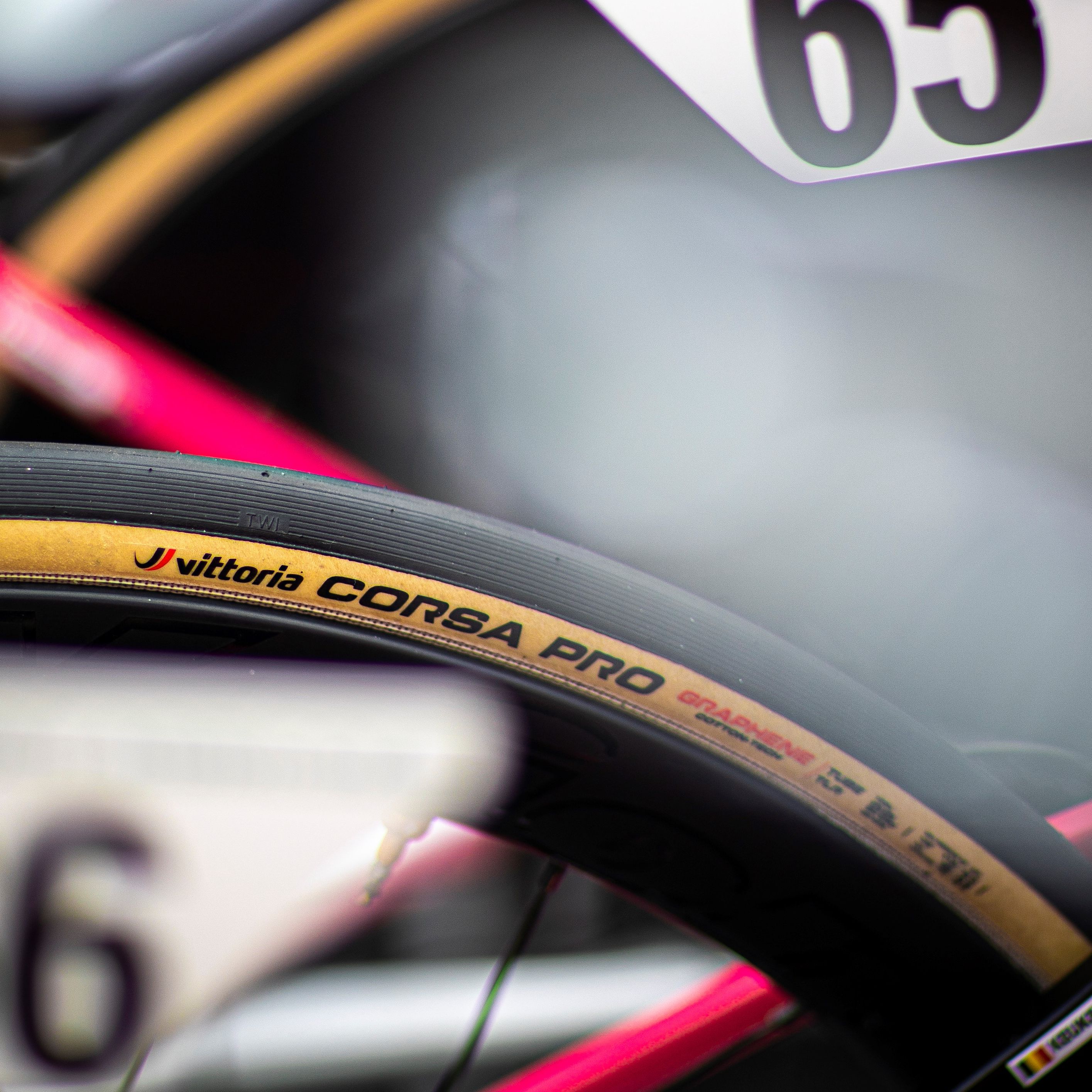 Corsa PRO Speed Tubeless-Ready - Competition Tires | Vittoria