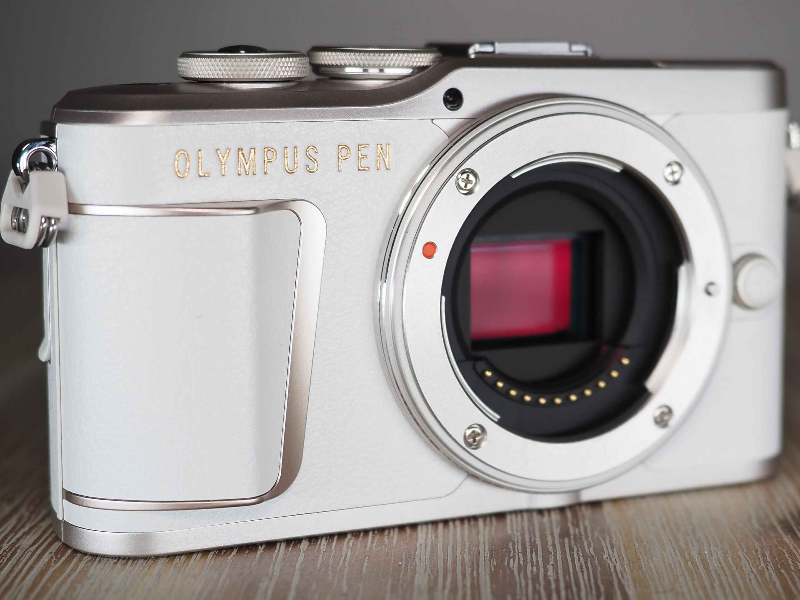 ショット数1043枚■OLYMPUS PEN E-PL10 Olympus PEN E-PL10 Mirrorless Camera & Olympus ED M. 14-42mm