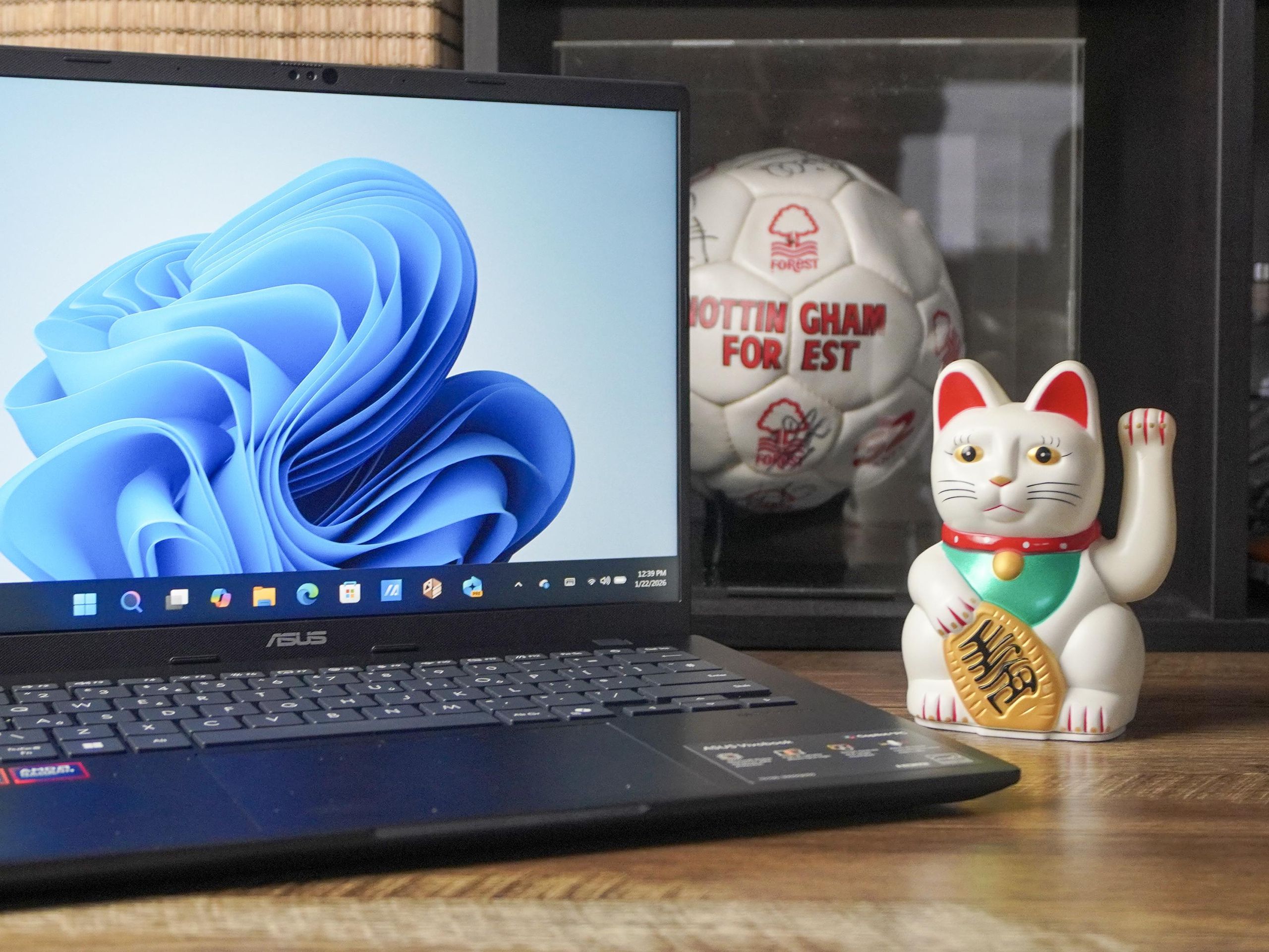 Asus Vivobook 14 (2026) review: A no-frills laptop where AMD Ryzen