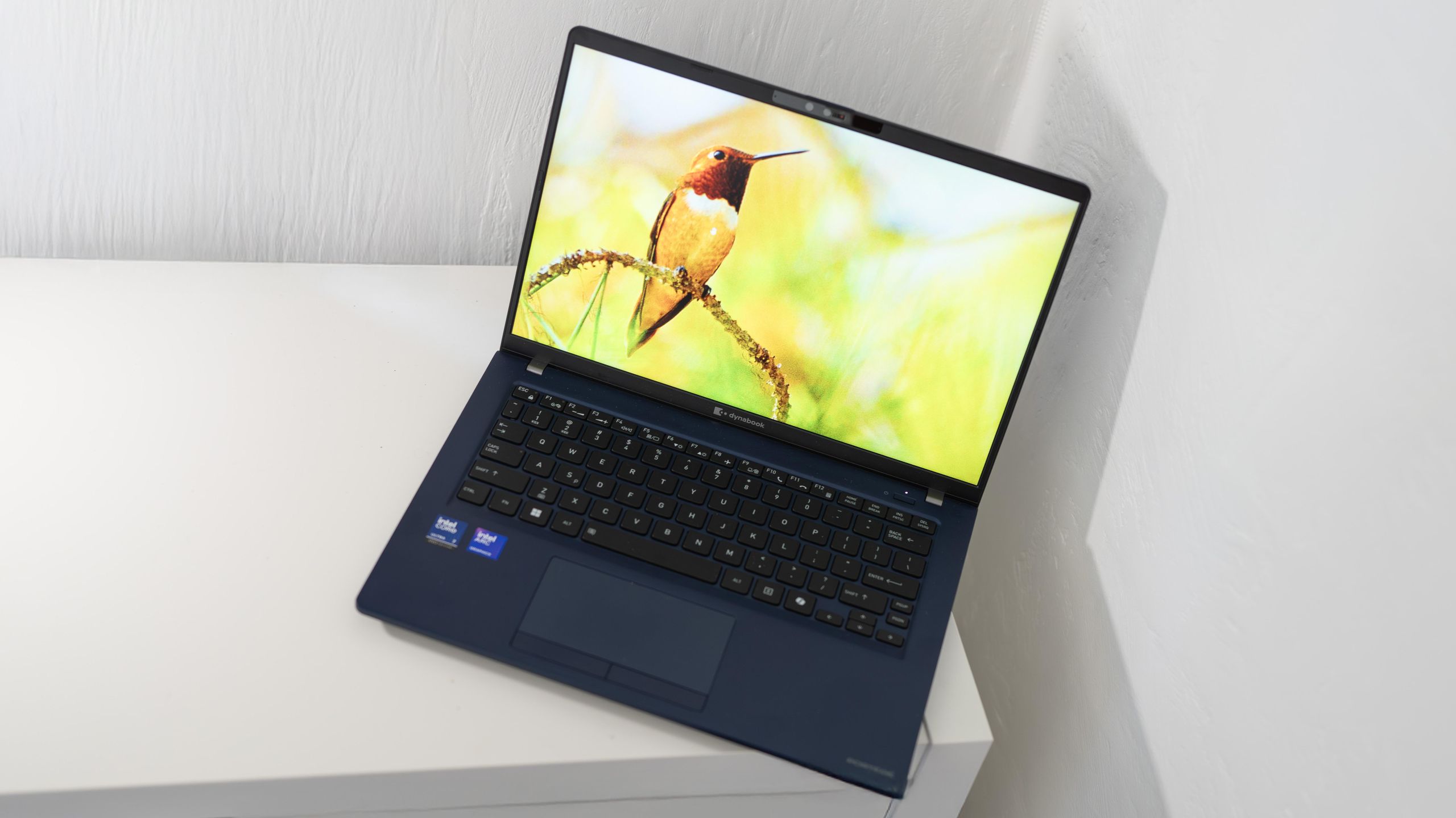 P.B./N.B. PB パソコン ASUS ExpertBook B1 (B1403)｜Laptops For Work｜ASUS USA