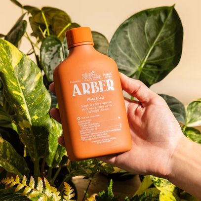 BWH Plant Co plant food