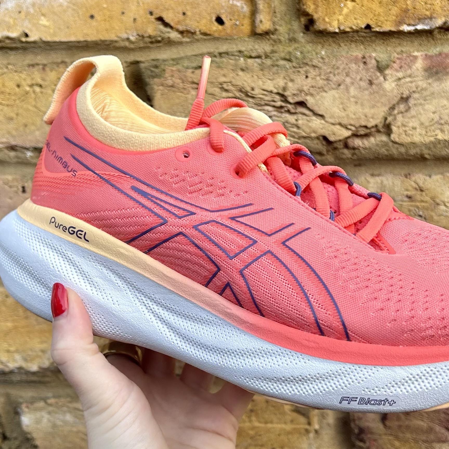 新品未使用アシックス  スポーツシューズGEL-NIMBUS 25 Women's Asics Gel Nimbus 25 | Marathon Sports