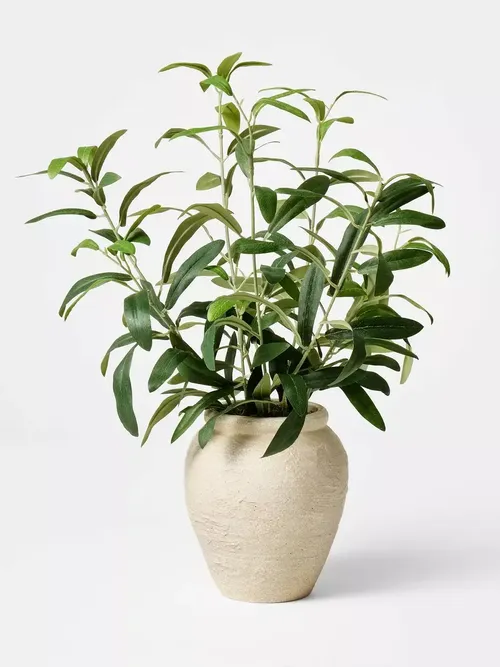 Olive Leaf Arrangement &ndash; Designed With Studio Mcgee