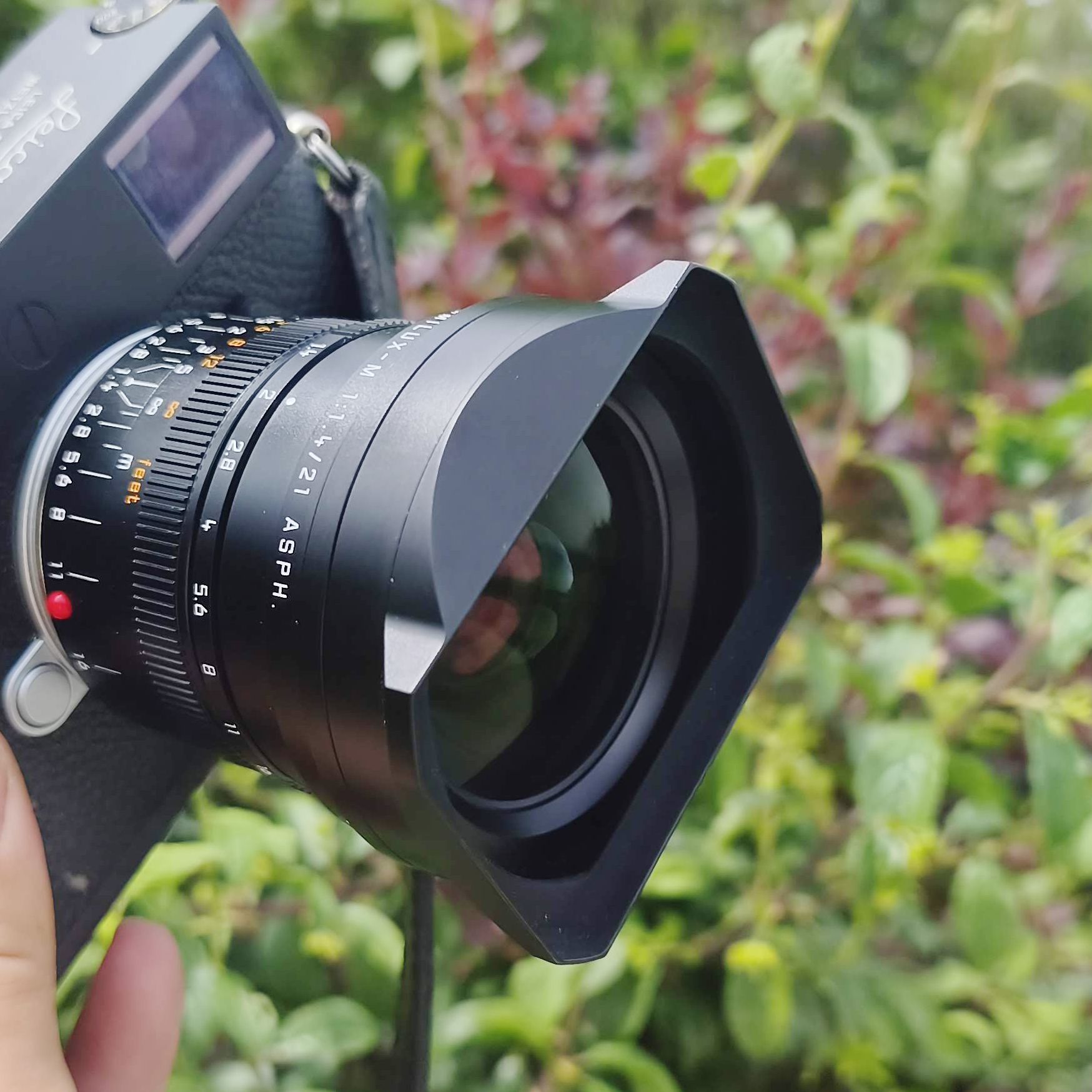 Leica 21mm Summilux-M f/1.4 Asph review – rare and beautiful, but