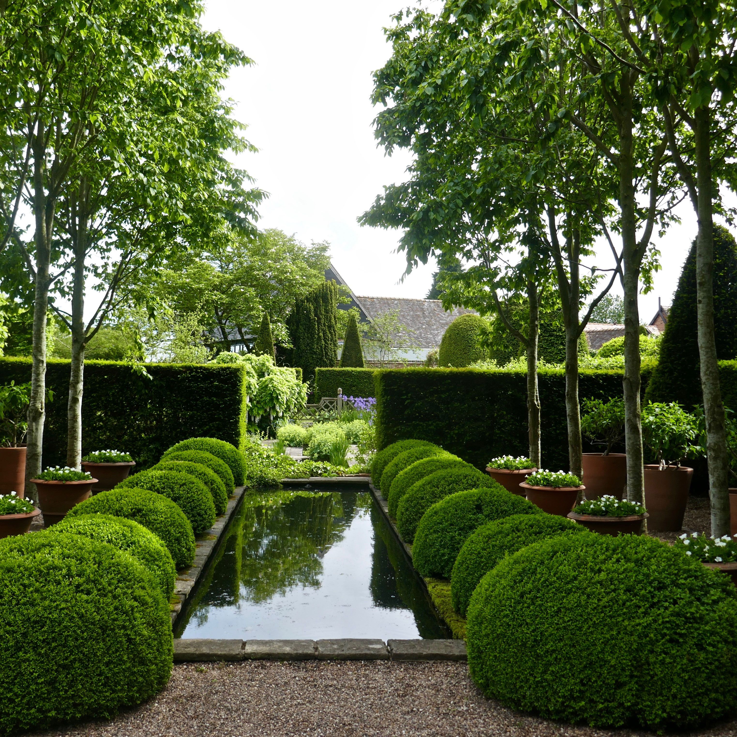 Landscaping Ideas Evergreen: Gestalten Sie Ihren Garten