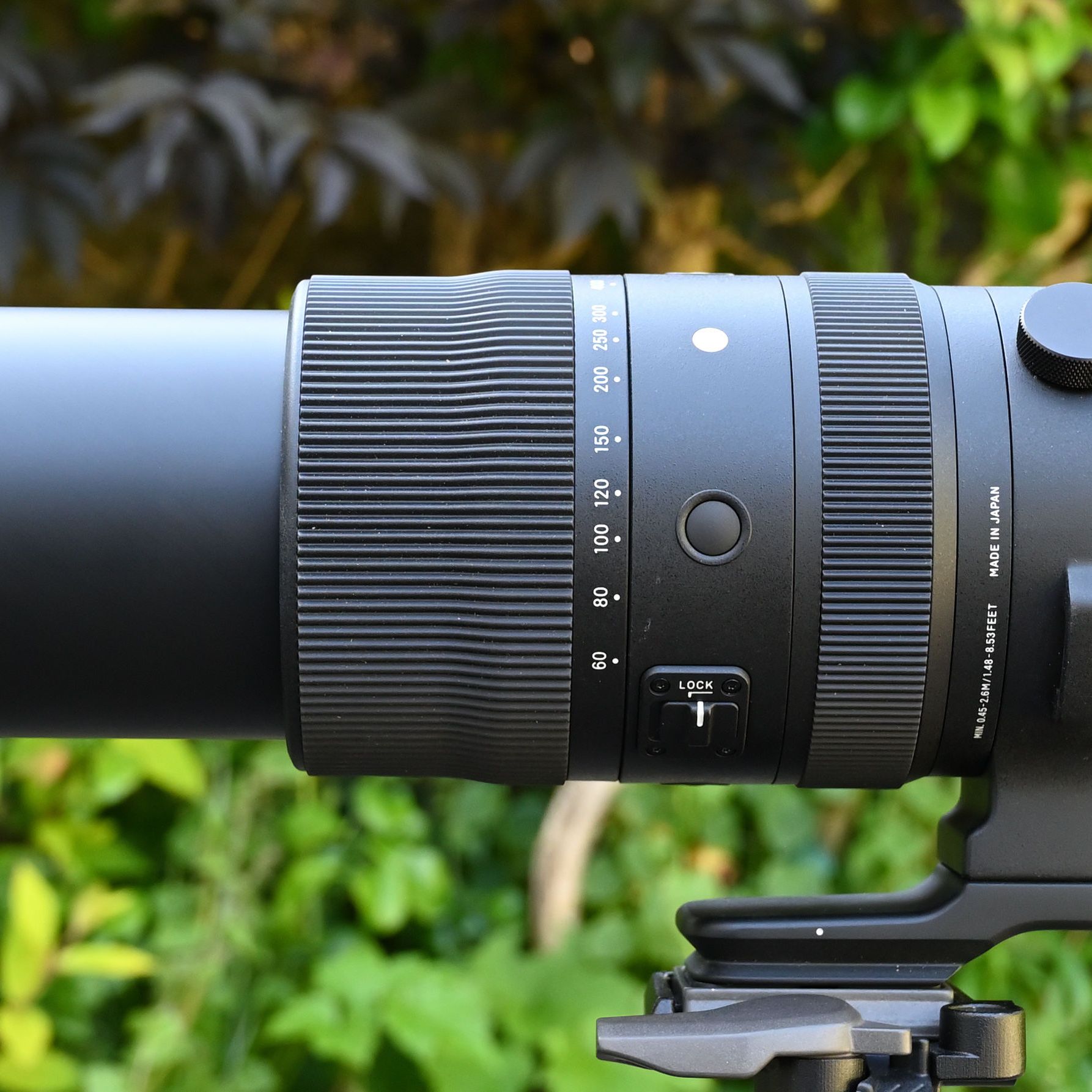 Sigma 60-600mm F4.5-6.3 DG DN OS Sports review | Digital Camera World