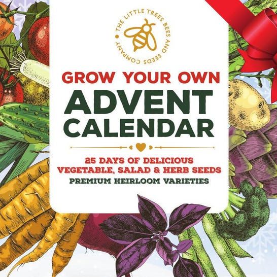 Gardening Advent Calendar: 25 Seed Packets, Eco-Friendly Christmas Gift