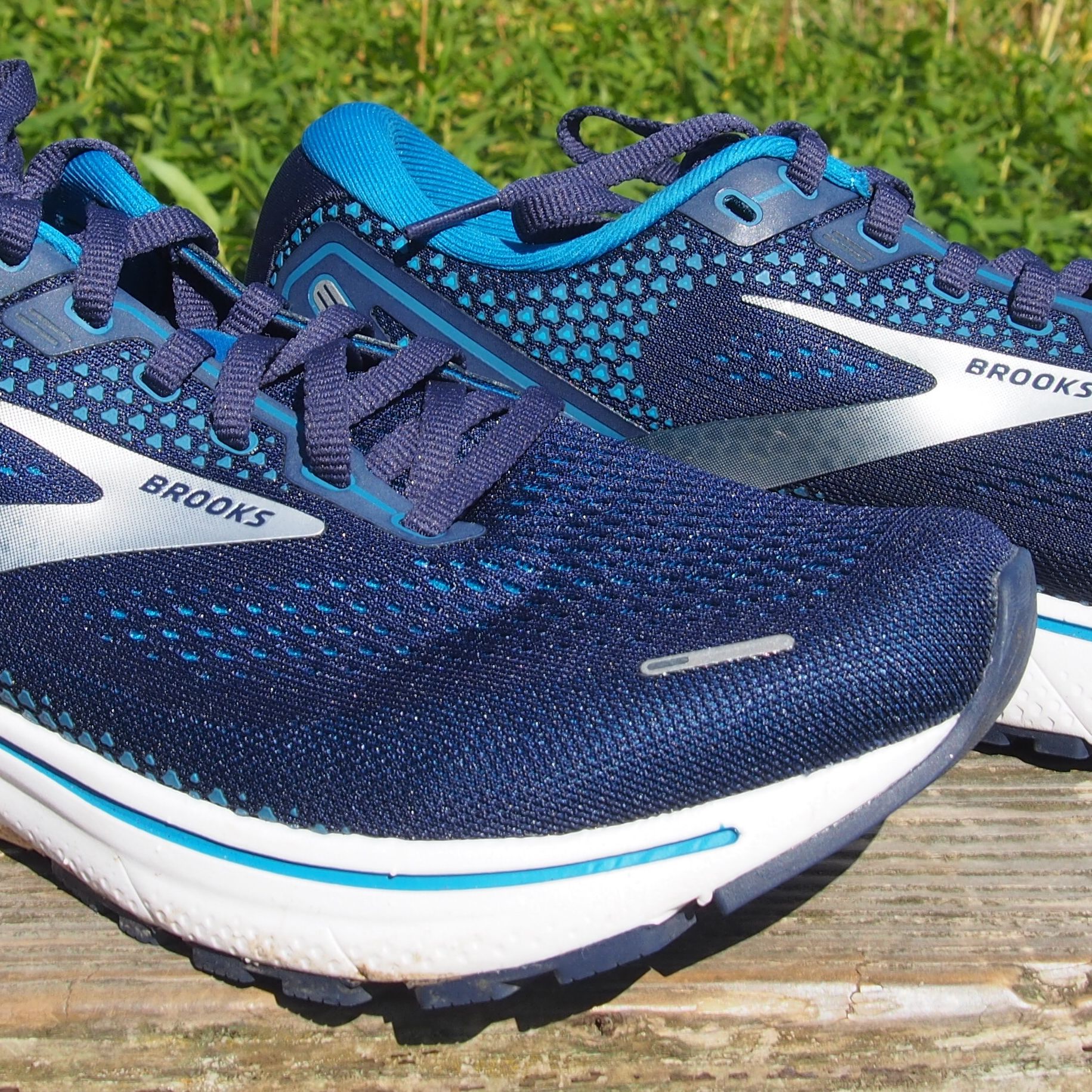 pegasus 38 vs ghost 14