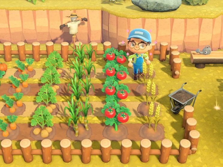 Animal Crossing: New Horizons Farming Guide  How To Buy Seeds and Grow  Crops | iMore