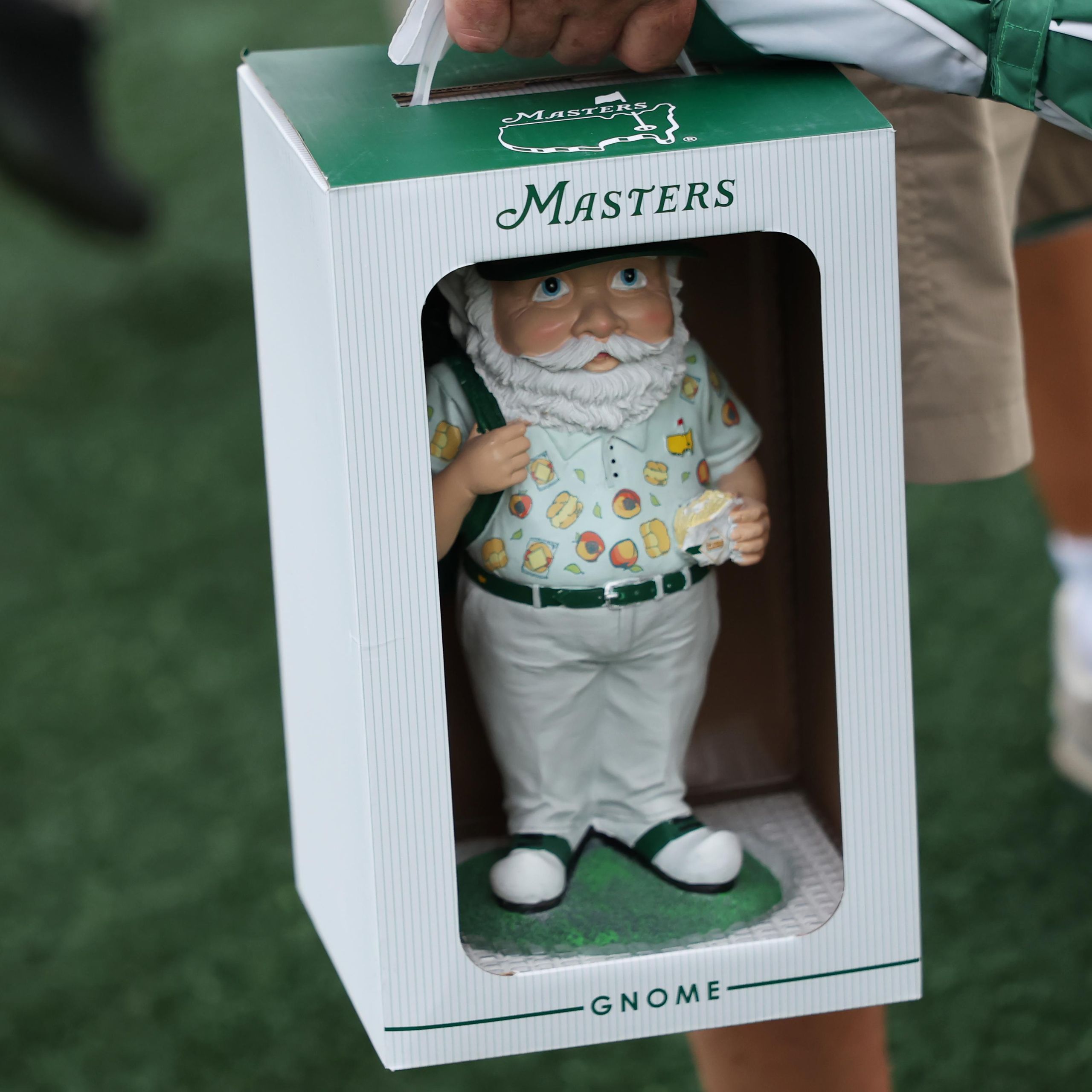 マスターズ 2025ノーム Masters 2025 Gnome 2025 Masters gnomes
