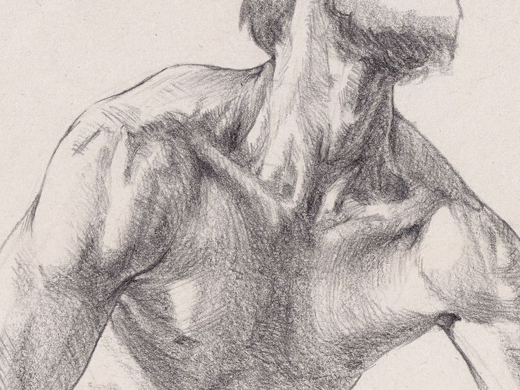 How To Draw Neck And Shoulders Female