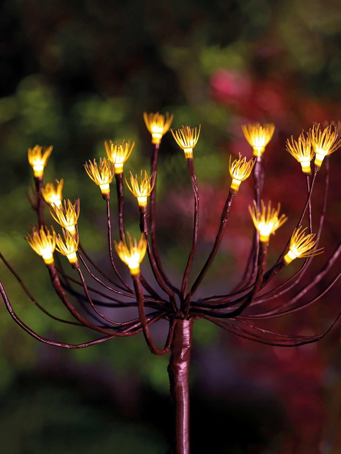 Solar Centre, Wild Fennel Outdoor Solar Stake Light