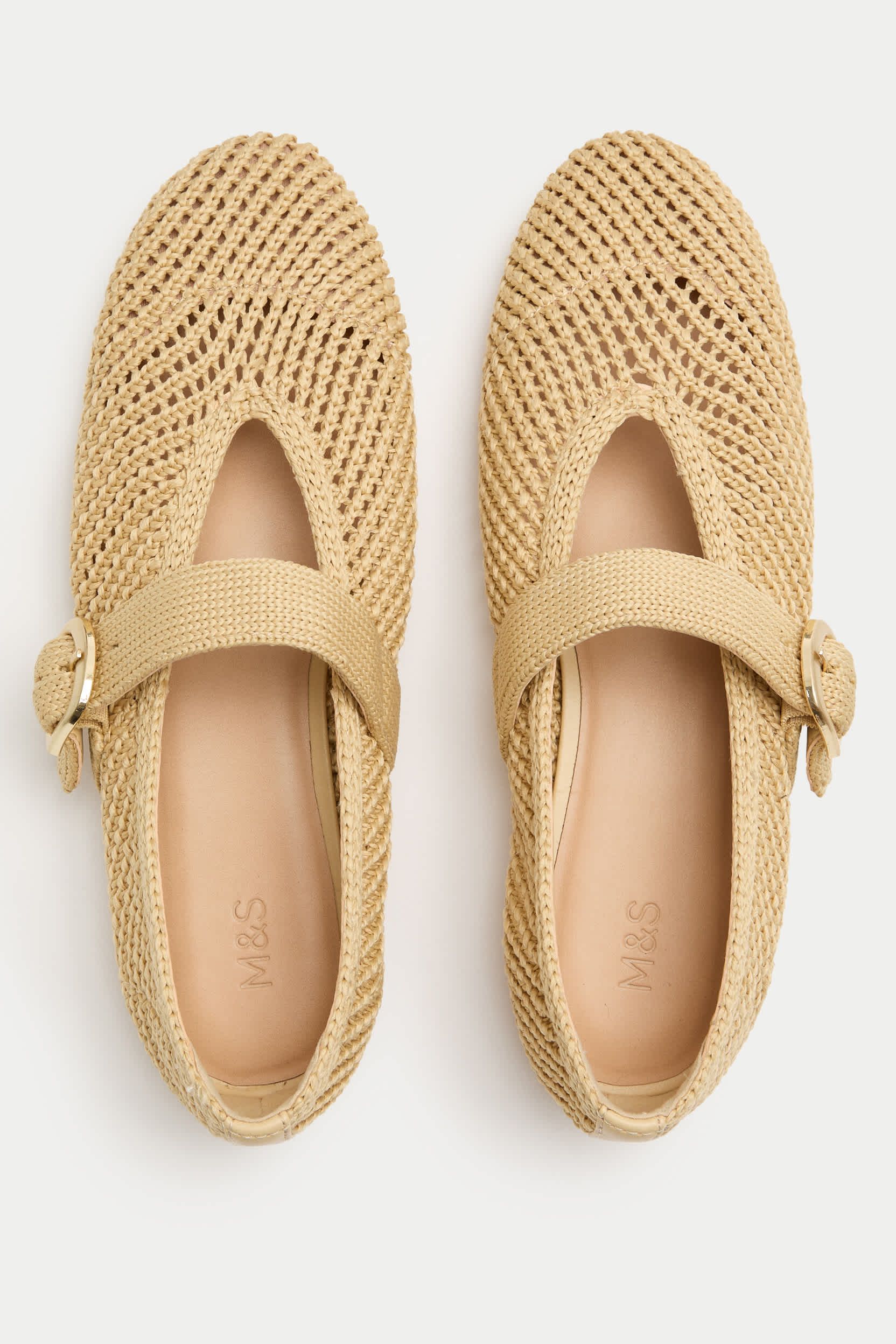 Buckle Flat Mary Jane Ballet Pumps