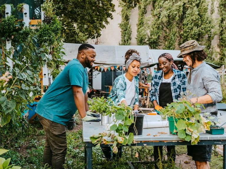 Plant Community