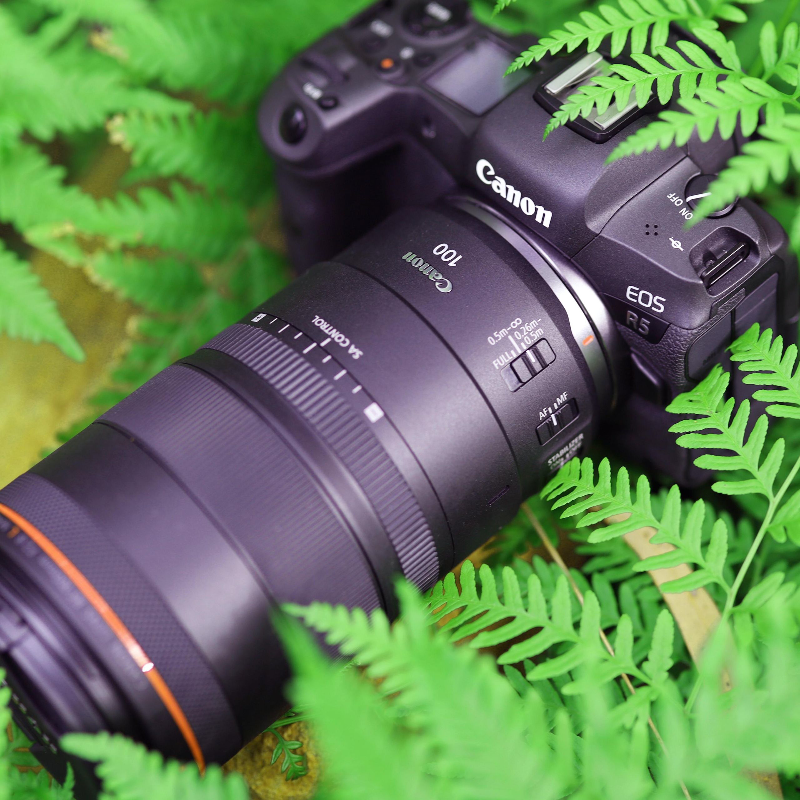 Canon's EOS R mirrorless camera range gets its first true macro