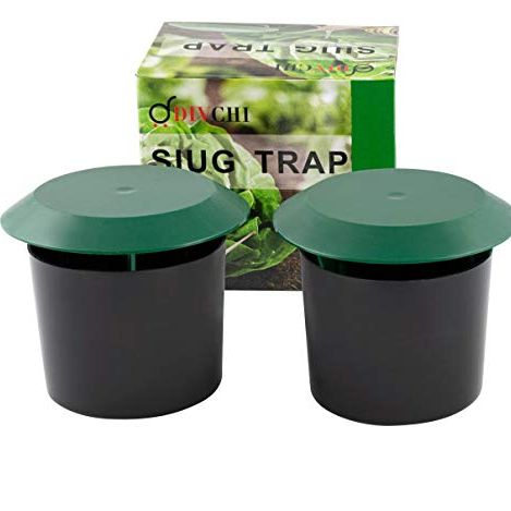 Divchi Beer Slug &amp;amp; Snail Traps Simple to Use No Pellets Safe Around Children and Pets (pack of 4)
