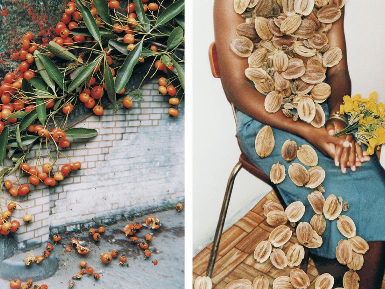 Stephen Gill 'myeyefellout' photography exhibition, Hackney