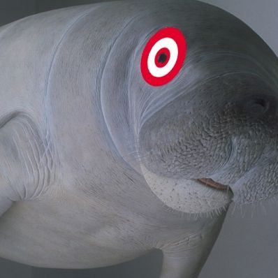 How Target fixed its 'manatee gray' plus-size debacle | The Week