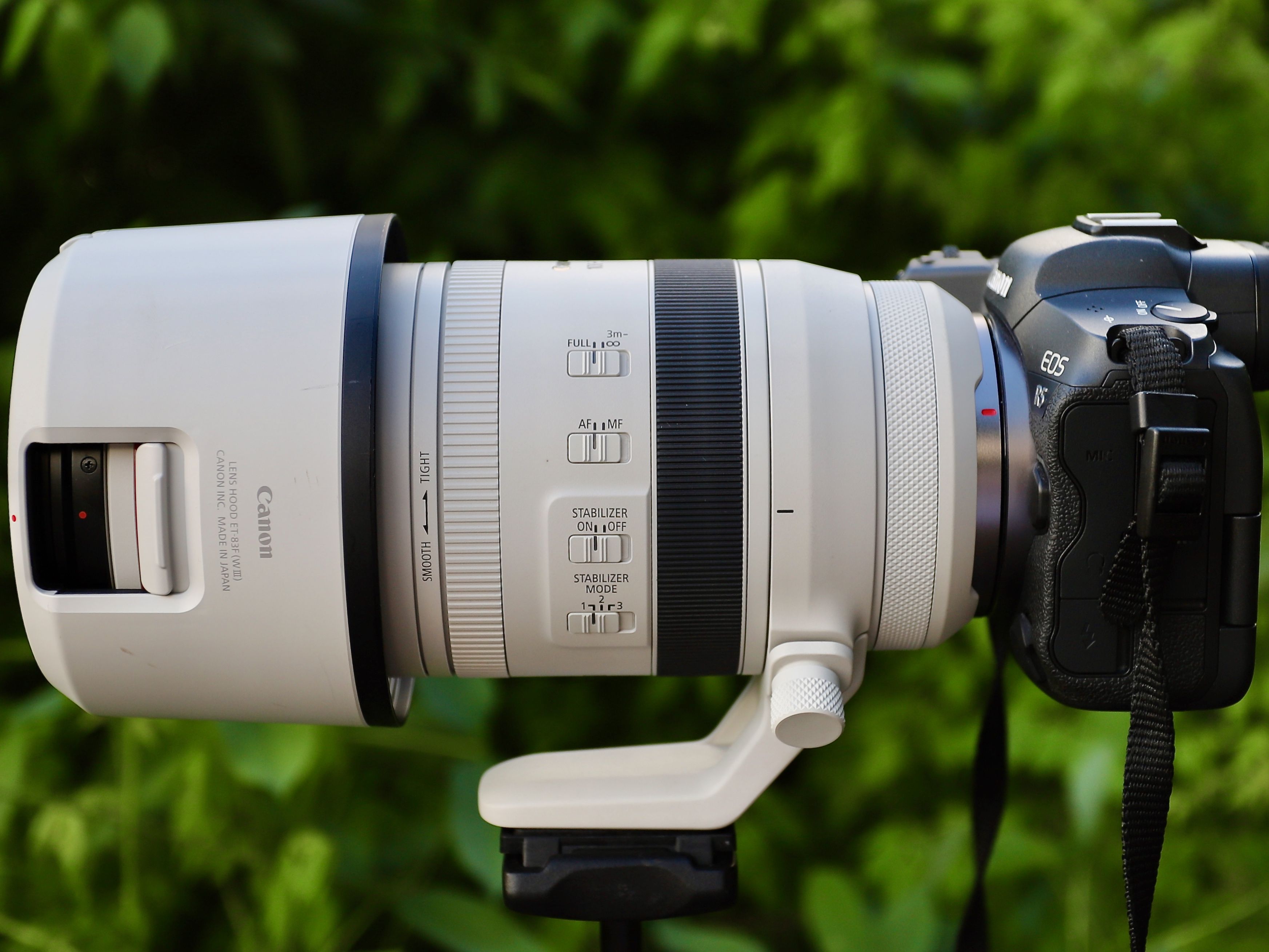 【젠☆彡】 Canon RF 100-500mm Amazon.com : Canon RF 100-500mm F4.5-7.1L is USM : Electronics