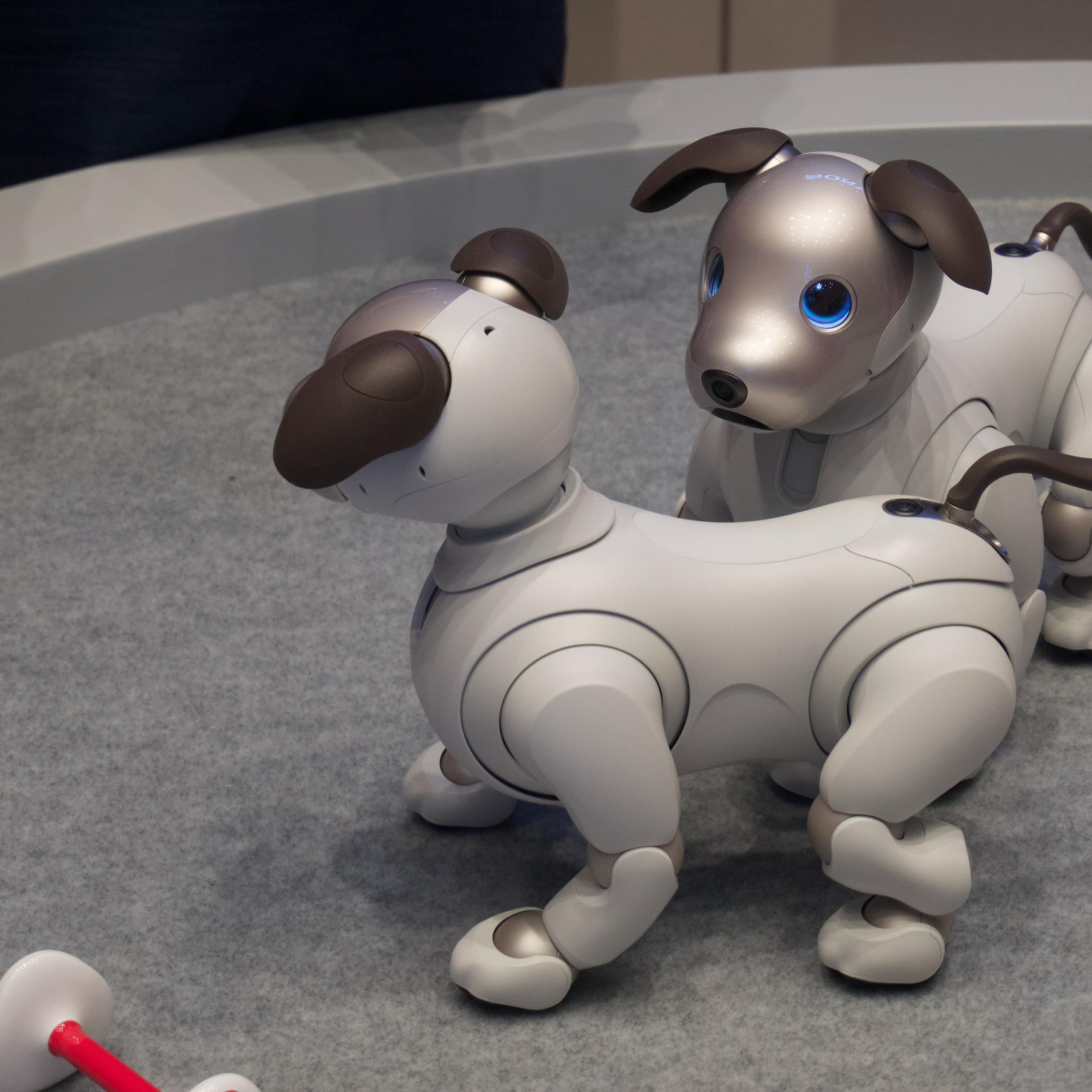 Hands on: Sony Aibo review | TechRadar