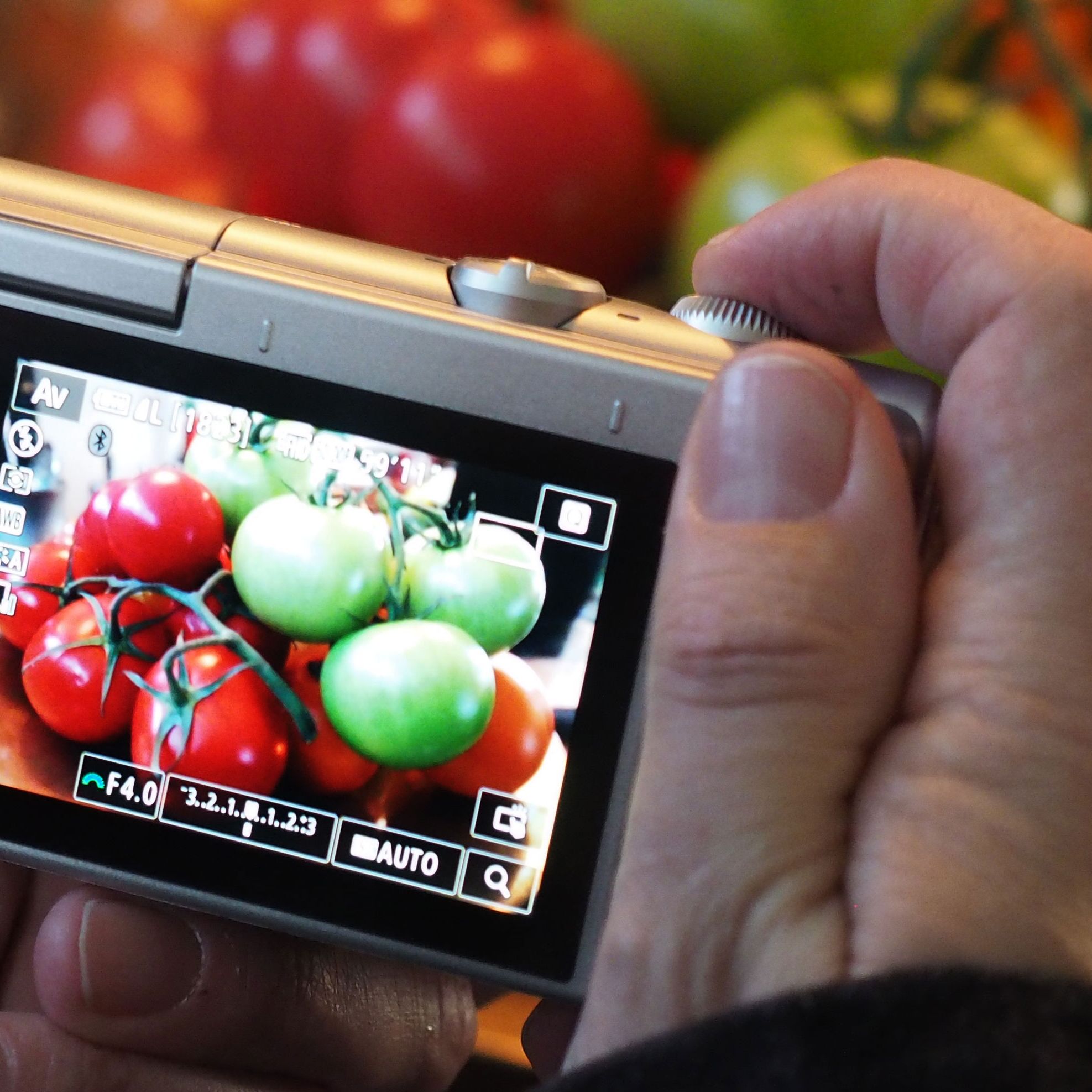 Canon EOS M100 hands-on review | Digital Camera World