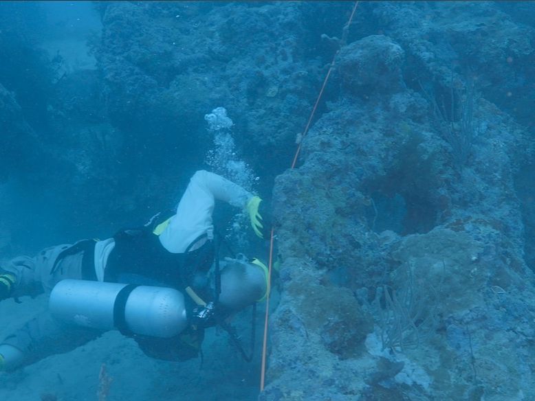 Is This Amelia Earhart's Plane? Debris from Wreck Found Off Papua New  Guinea | Live Science