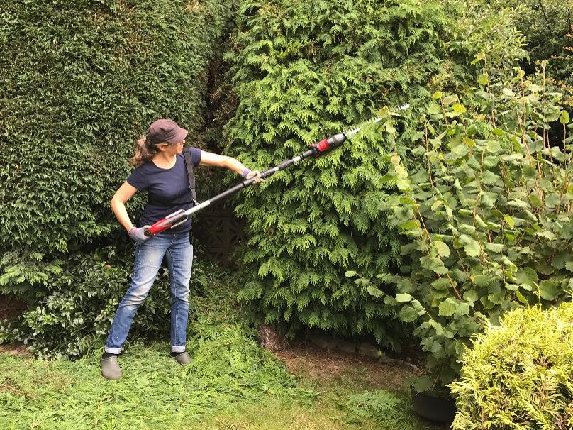Cobra LRH5024V 24v cordless longreach hedge trimmer review