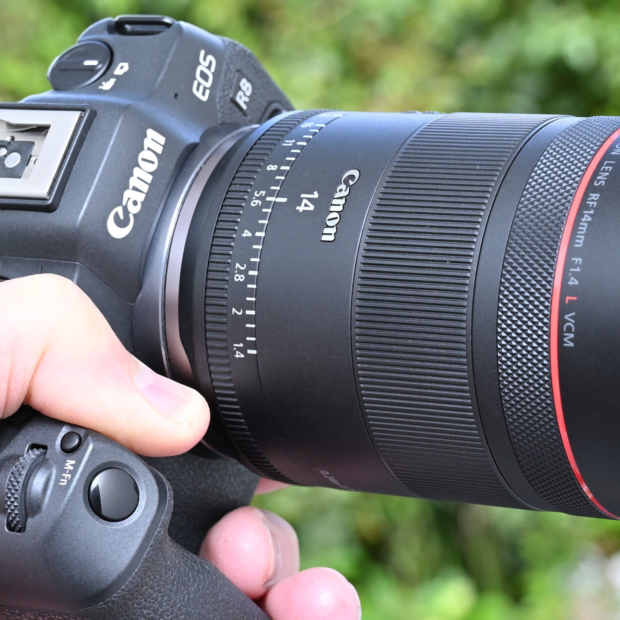 Canon RF 14mm f/1.4L VCM review: the expansive view of this lens