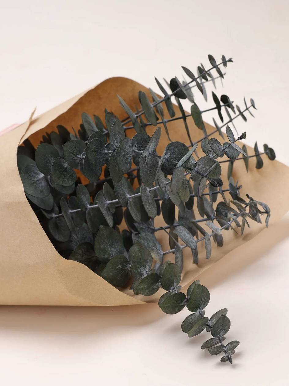 Etsy, Preserved Green Eucalyptus Stems
