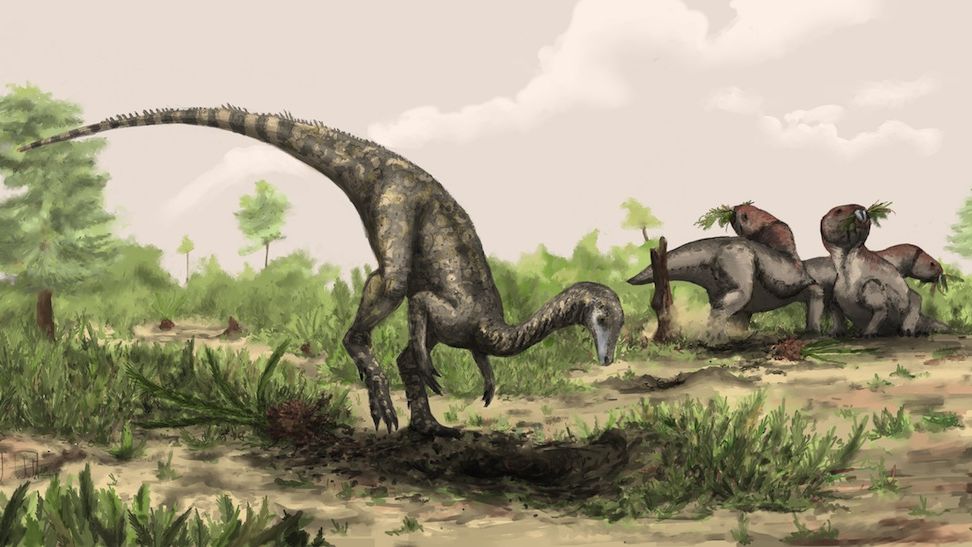 Ancient Roots: Flowers May Have Existed When First Dinosaur Was Born | Live  Science