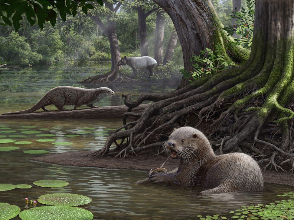 Adorable Terror: Wolf-Size Otter Hunted in Ancient China | Live