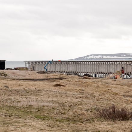Dark arts: Peter Zumthor and Louise Bourgeois brooding