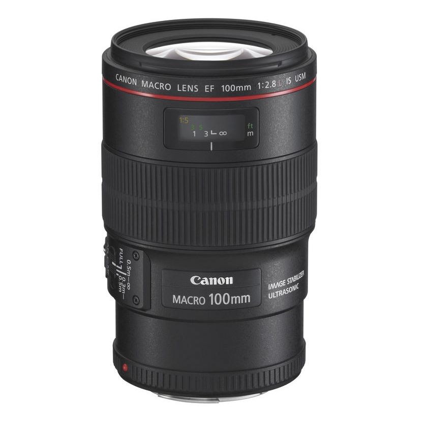 Canon EF 100mm F2.8 L Macro IS USM review | TechRadar