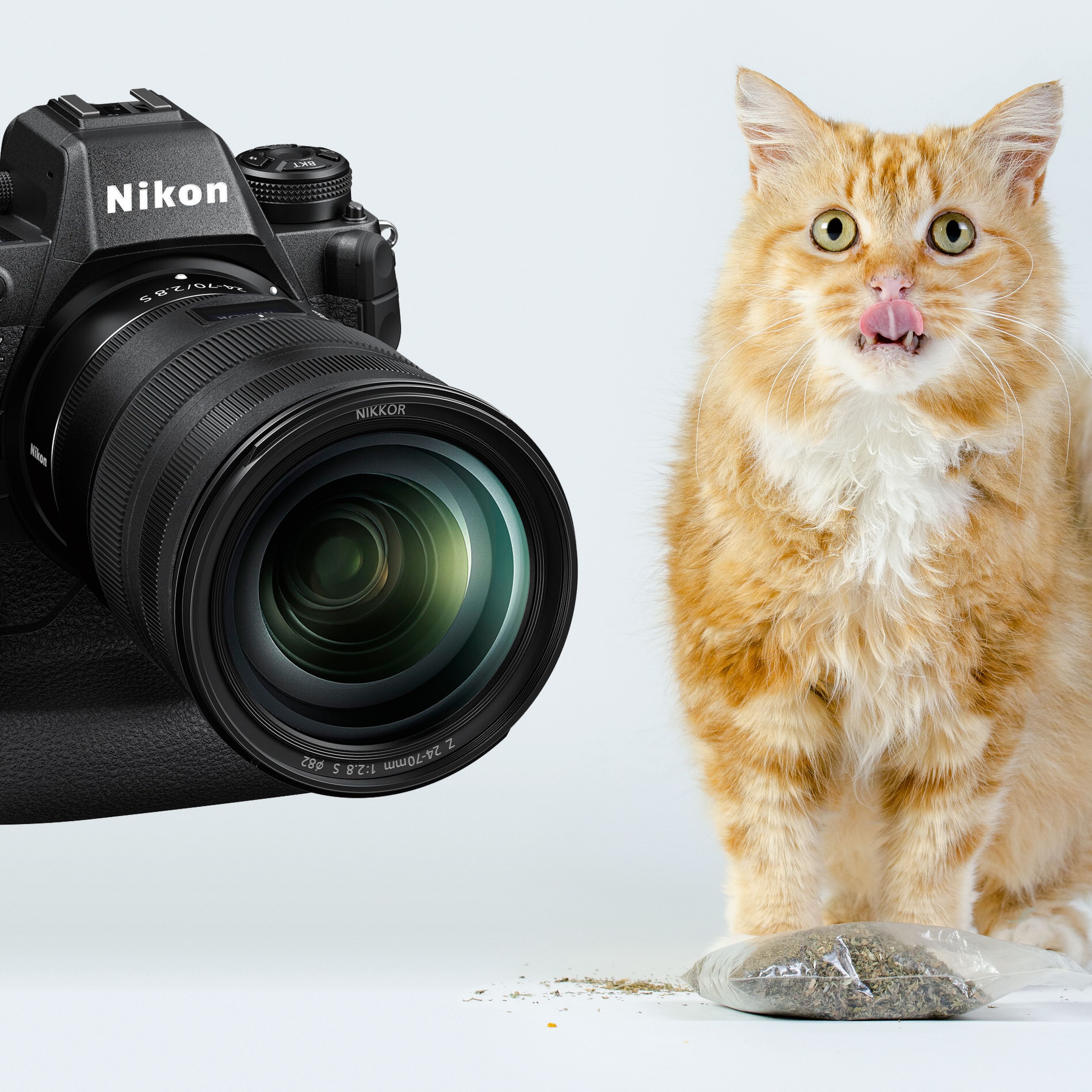 Nikon - よっちゃん Nikon ZX – DEBUNKED? - YouTube